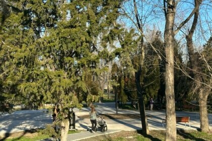 FOTO VIDEO Natura în mijlocul orașului/ Parcul Tăbăcăriei și frumusețea sa 182bccf8 1e8b 4d1d 89f2 ea9e52bcd575