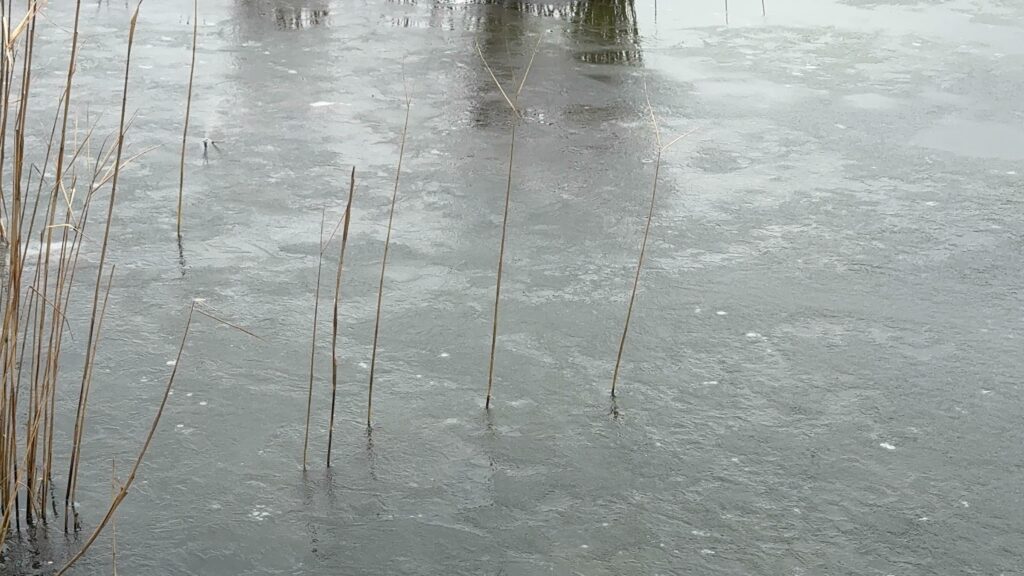 FOTO VIDEO Peisaj de iarnă la sfârșit de februarie/ Lacul Siutghiol a fost acoperit de gheață 02d6193c 22be 42e5 b2cd b7c0a90f5faa