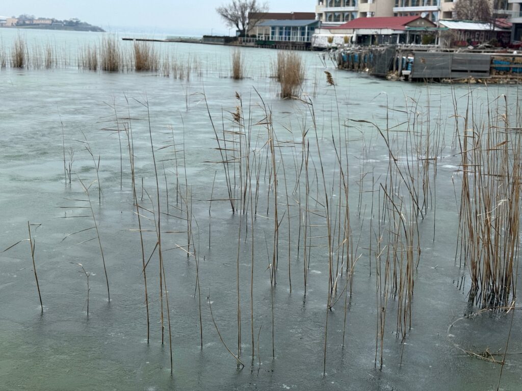 FOTO VIDEO Peisaj de iarnă la sfârșit de februarie/ Lacul Siutghiol a fost acoperit de gheață 778f8af7 1355 444f 9bd4 5167bca9c817