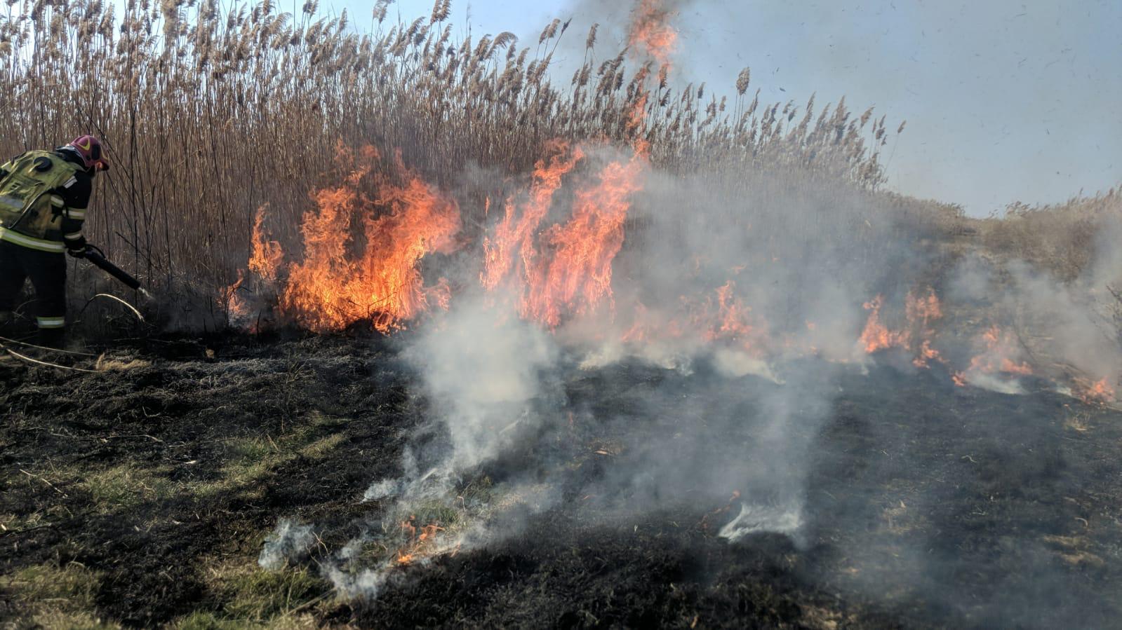 Incendiu de vegetație în apropiere de localitatea Măcin/ Ard 3 hectare de stuf VIDEO 9c062e9d 3dd6 4737 81bb cec73d4ea729