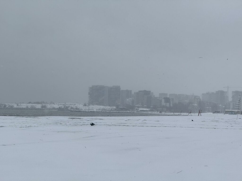 FOTO VIDEO Peisaj de poveste pe plaja din Mamaia. Oamenii au ieșit să admire covorul de zăpadă de la țărm WhatsApp Image 2025 02 16 at 14.34.27 1