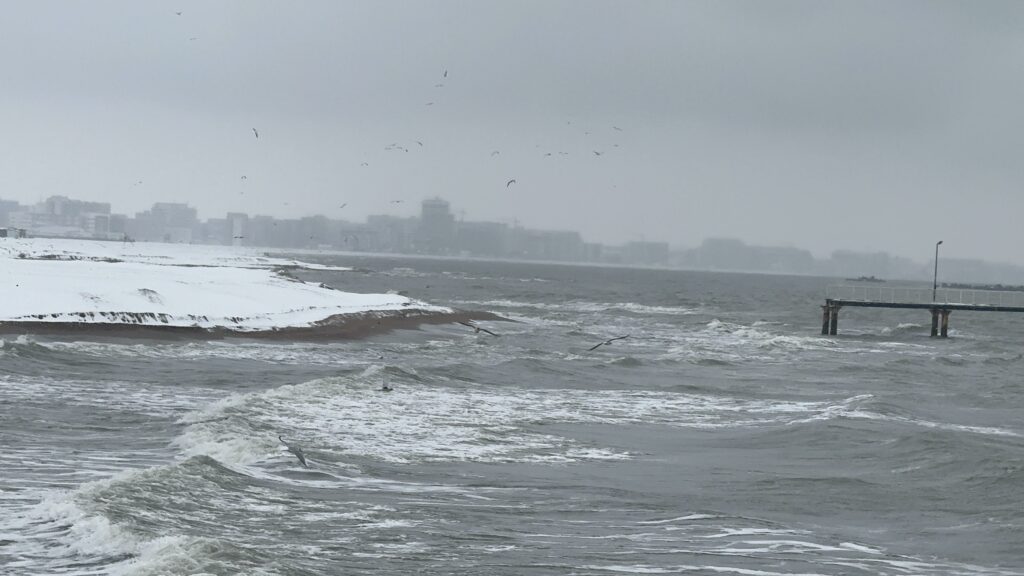 FOTO VIDEO Peisaj de poveste pe plaja din Mamaia. Oamenii au ieșit să admire covorul de zăpadă de la țărm WhatsApp Image 2025 02 16 at 14.34.30 1