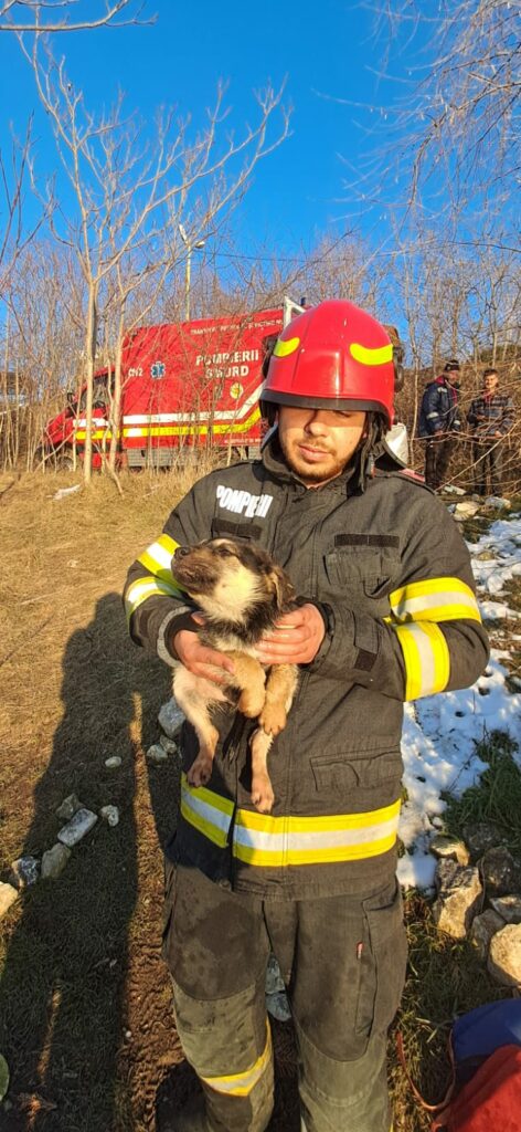 Alertă! FOTO VIDEO Pompierii constănțeni au salvat un câine prins în gheață pe lacul Tașaul UPDATE WhatsApp Image 2025 02 24 at 16.56.55 1