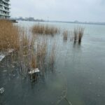 FOTO VIDEO Peisaj de iarnă la sfârșit de februarie/ Lacul Siutghiol a fost acoperit de gheață d85efcf4 cde7 4111 b47c 01a2675e99bc