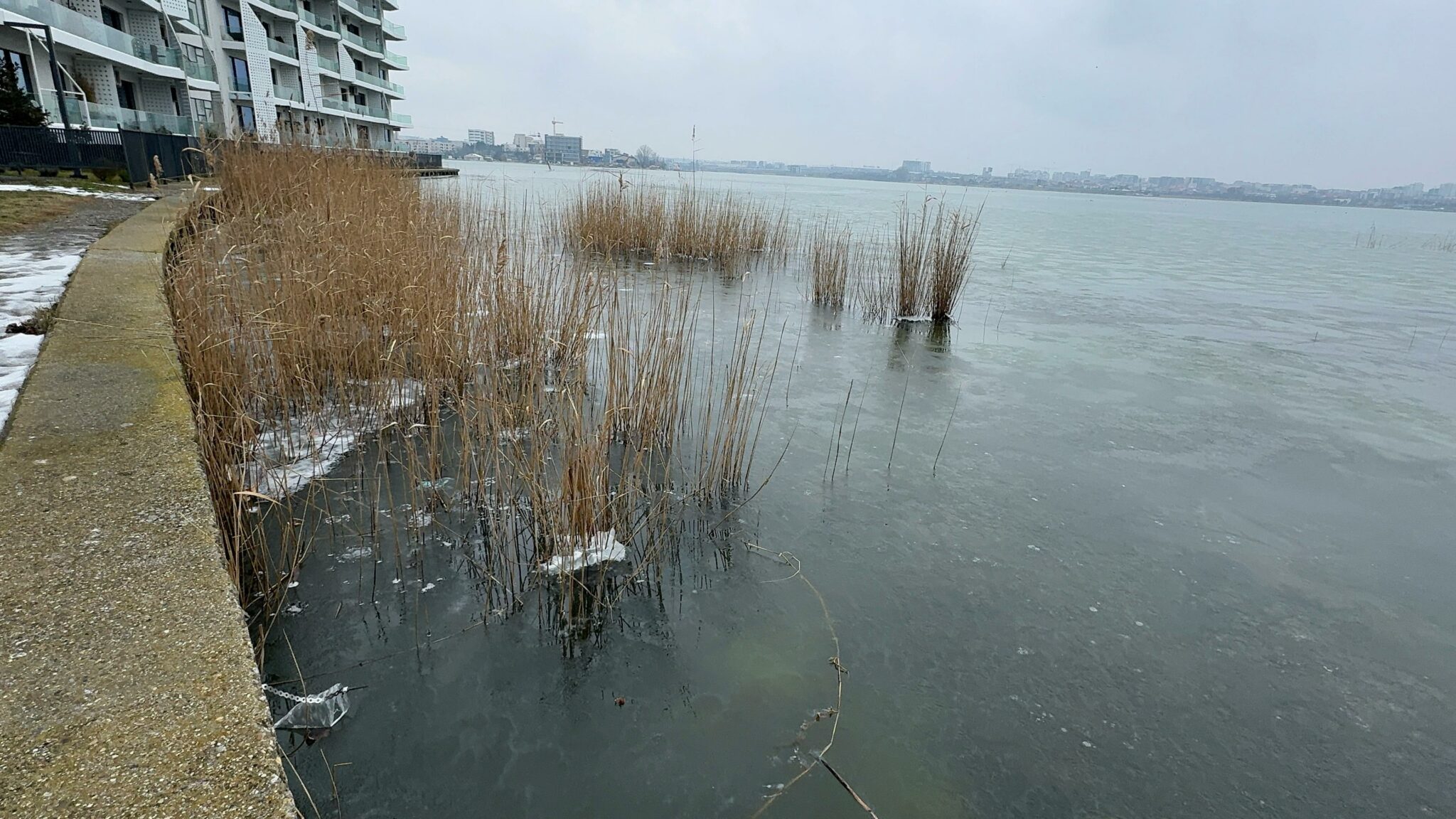 FOTO VIDEO Peisaj de iarnă la sfârșit de februarie/ Lacul Siutghiol a fost acoperit de gheață d85efcf4 cde7 4111 b47c 01a2675e99bc