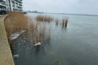 FOTO VIDEO Peisaj de iarnă la sfârșit de februarie/ Lacul Siutghiol a fost acoperit de gheață d85efcf4 cde7 4111 b47c 01a2675e99bc