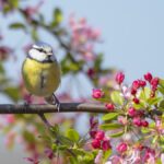 Martie vine cu vreme caldă: Prima lună de primăvară aduce temperaturi peste normalul perioadei/ Prognoza ANM martie vine cu vreme calda prima luna de primavara aduce temperaturi peste normalul perioadei prognoza anm 954899