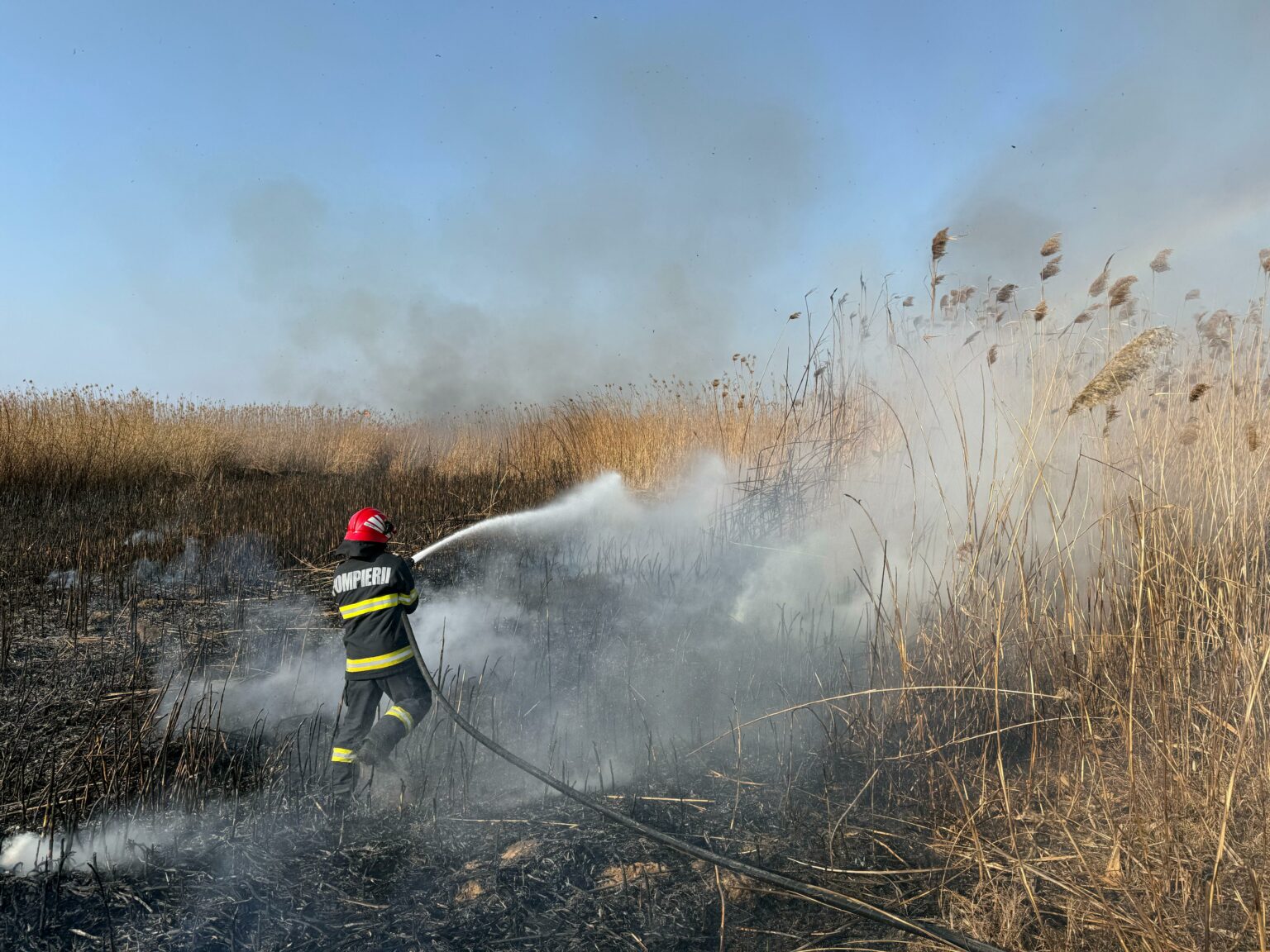 Pompierii din România au avut parte de o zi cu foarte multe incendii de vegetație stuf