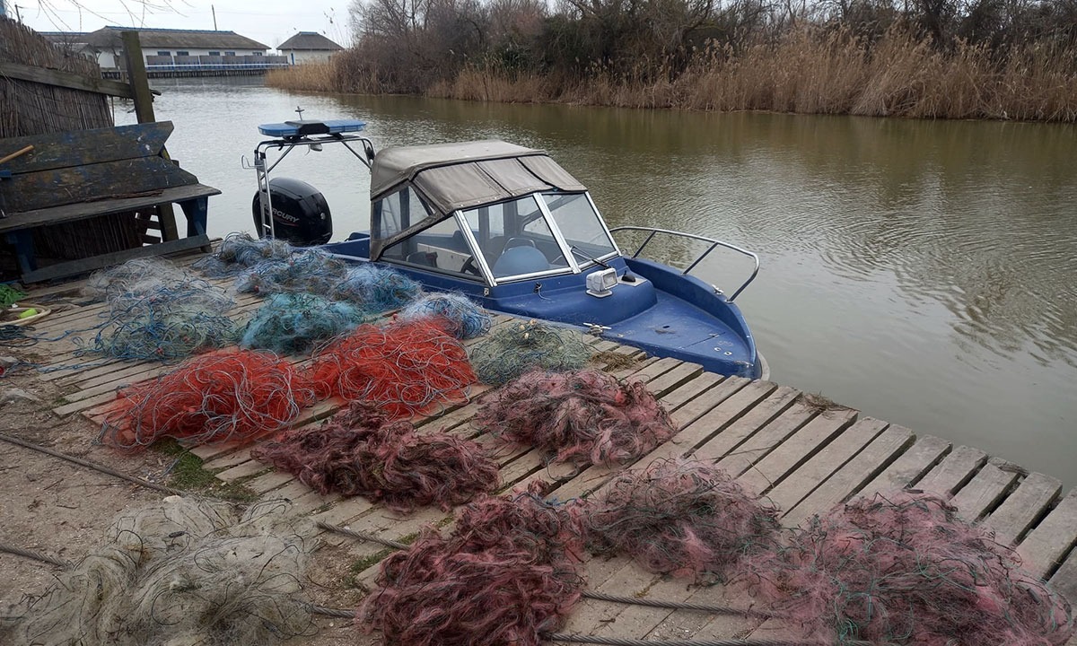 730 metri de plase cu o captură de 177 kilograme de pește, descoperite în lacul Sinoe de către polițiștii tulceni 5de316d6 e16b 4dd6 93e0 68c05d306857