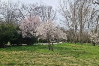 Adrian Bîlbă: „Trebuie să ne obișnuim cu schimbările climatice. Omul este cauza principală” Imagine WhatsApp 2025 03 18 la 13.15.09 bbbd3757
