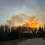 FOTO VIDEO Incendiu în Delta Dunării, lângă Dunăvățu de Jos: Pompierii monitorizează situația UPDATE WhatsApp Image 2025 03 13 at 21.06.00