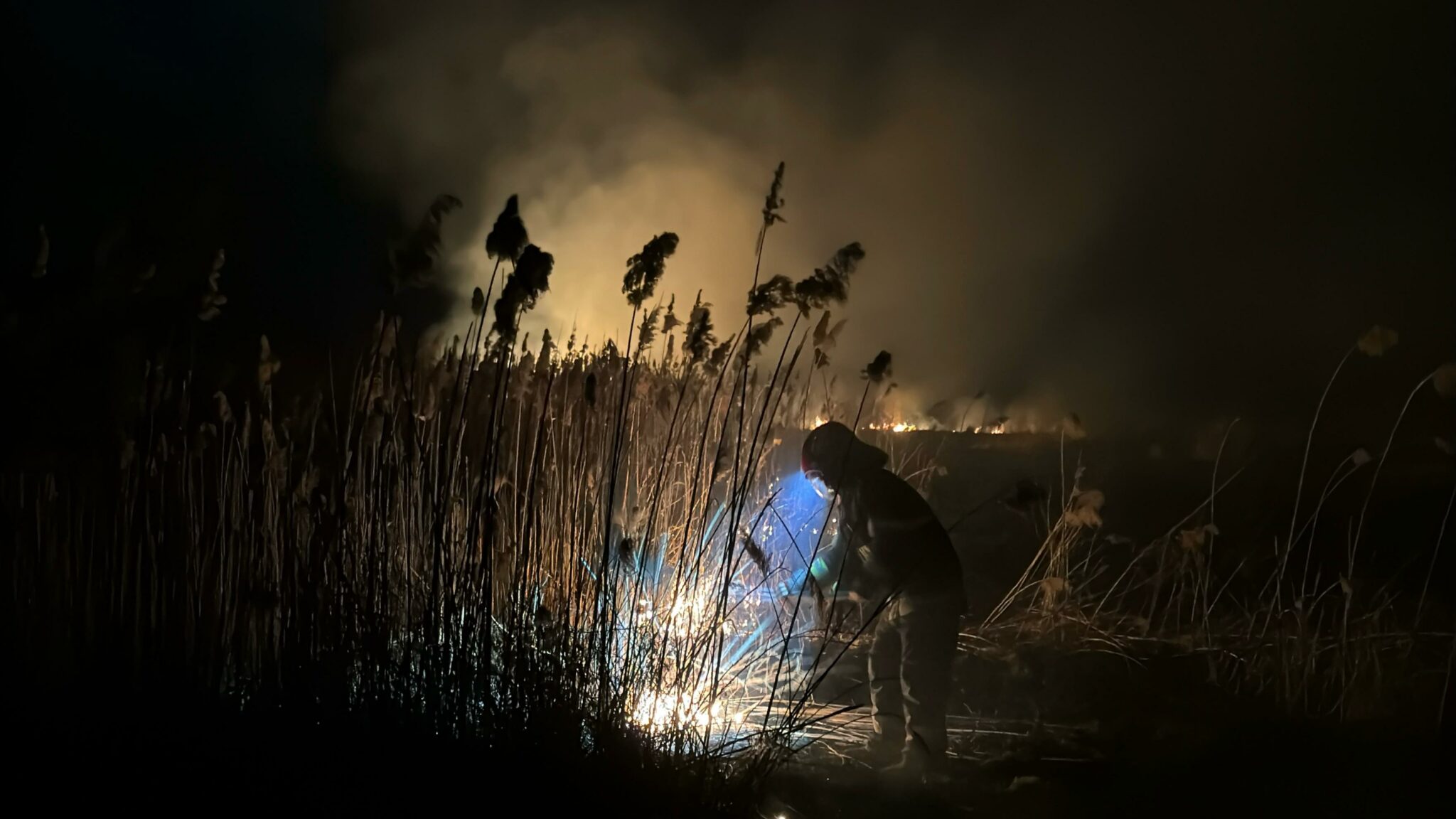FOTO VIDEO Zi neagră pentru pompierii tulceni: Incendii multiple de vegetație uscată au pus în pericol locuințe și ferme UPDATE WhatsApp Image 2025 03 13 at 21.52.21