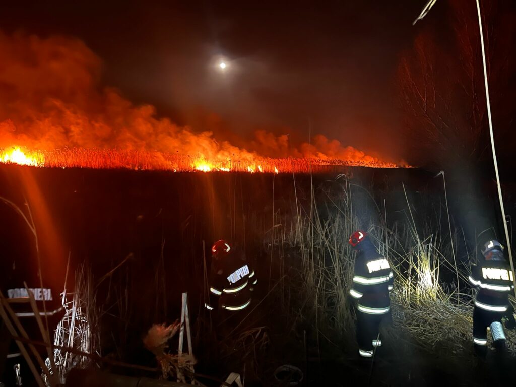 UPDATE Incendiu devastator în Delta Dunării: Pompierii s-au luptat cu flăcările pe o suprafață de peste 100 ha FOTO WhatsApp Image 2025 03 15 at 23.29.59 1