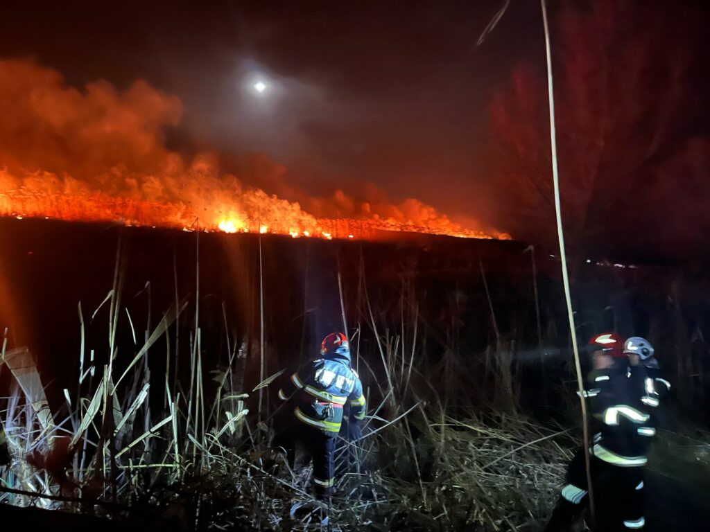 UPDATE Incendiu devastator în Delta Dunării: Pompierii s-au luptat cu flăcările pe o suprafață de peste 100 ha FOTO WhatsApp Image 2025 03 15 at 23.29.59