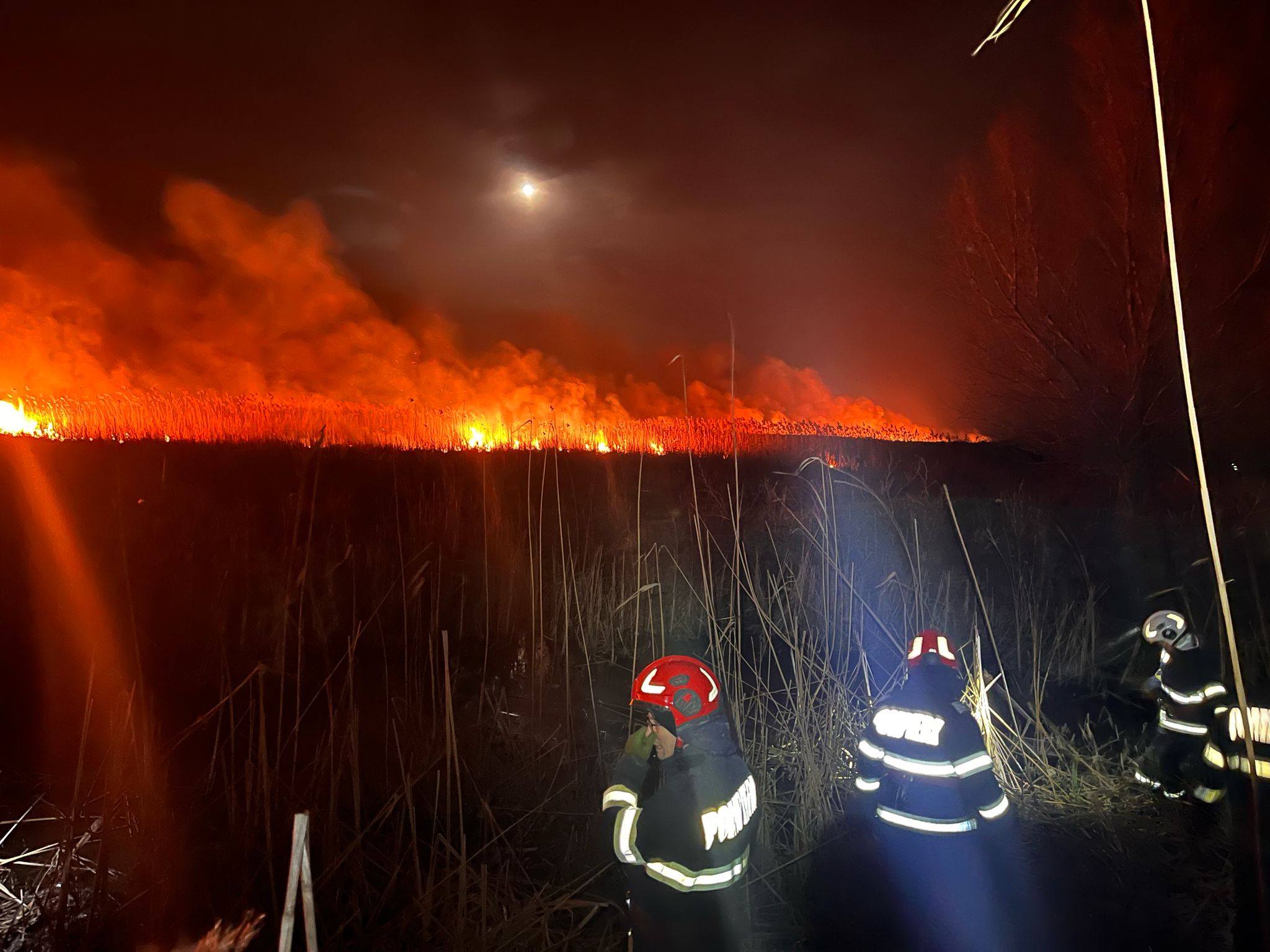 UPDATE Incendiu devastator în Delta Dunării: Pompierii s-au luptat cu flăcările pe o suprafață de peste 100 ha FOTO WhatsApp Image 2025 03 15 at 23.29.59 2