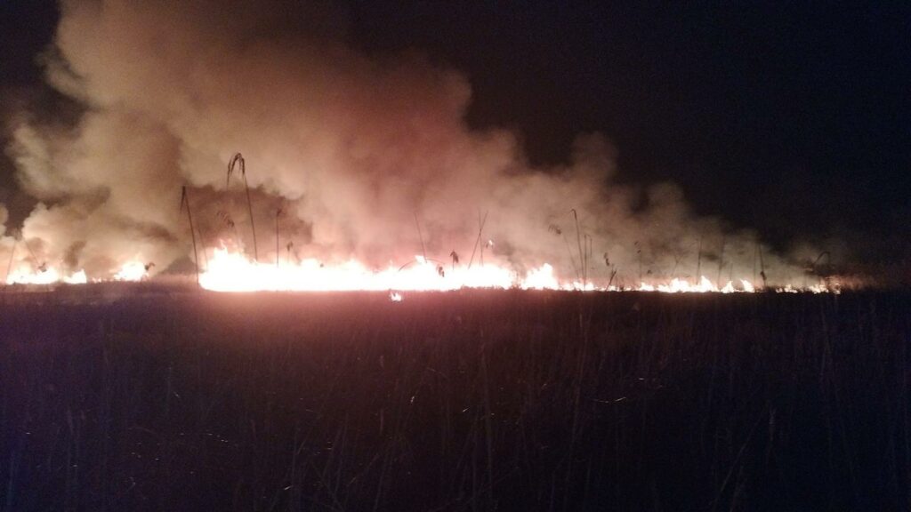 UPDATE Incendiu devastator în Delta Dunării: Pompierii s-au luptat cu flăcările pe o suprafață de peste 100 ha FOTO WhatsApp Image 2025 03 16 at 09.33.10