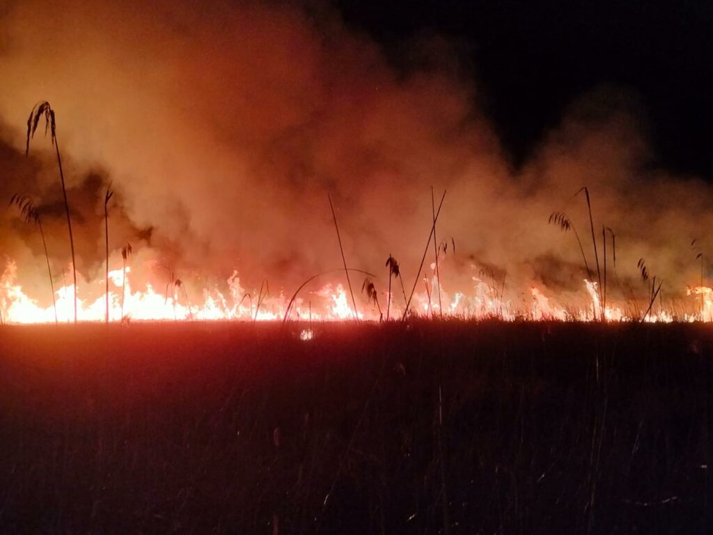 UPDATE Incendiu devastator în Delta Dunării: Pompierii s-au luptat cu flăcările pe o suprafață de peste 100 ha FOTO WhatsApp Image 2025 03 16 at 09.33.11 2