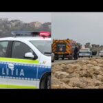 FOTO VIDEO Alertă! O persoană a fost salvată din mare, în Portul Tomis. Ar fi încercat să se sinucidă UPDATE apa 2