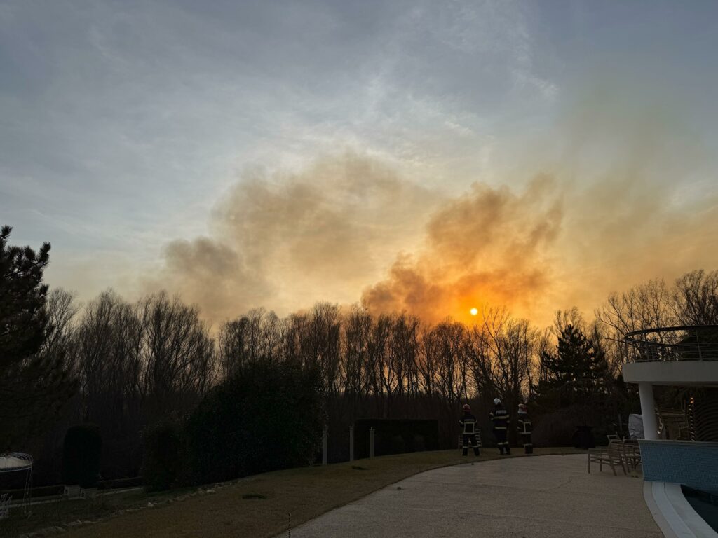 Delta Dunării, mistuită de flăcări/ Ce spune guvernatorul ARBDD despre incendiile din ultimele săptămâni incendii delta 2