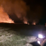 VIDEO Două incendii majore de vegetație uscată au pus în alertă pompierii din Tulcea incendiu tulcea