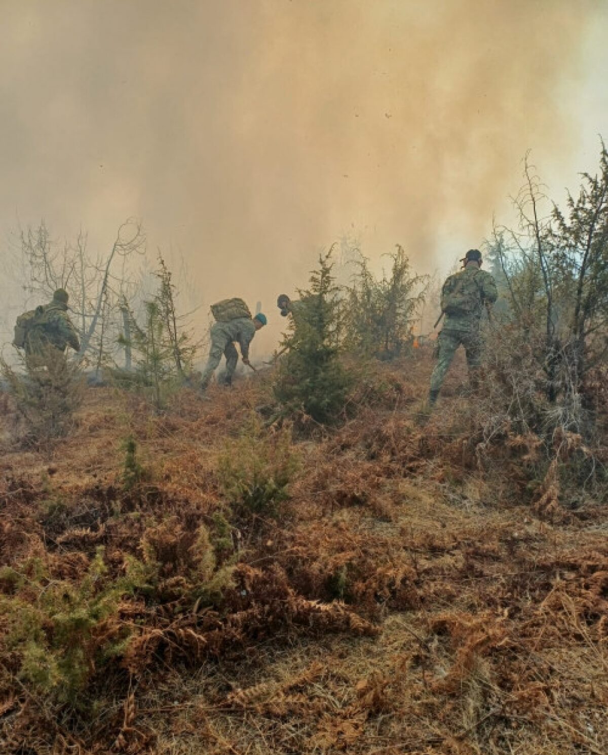 VIDEO Forțele Aeriene Române acționează pentru stingerea unor incendii de vegetație în județele Caraș-Severin și Hunedoara media 174143202380352300 e1741436357321