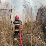 VIDEO Incendiu de vegetație în apropiere de localitatea Isaccea UPDATE pompieri