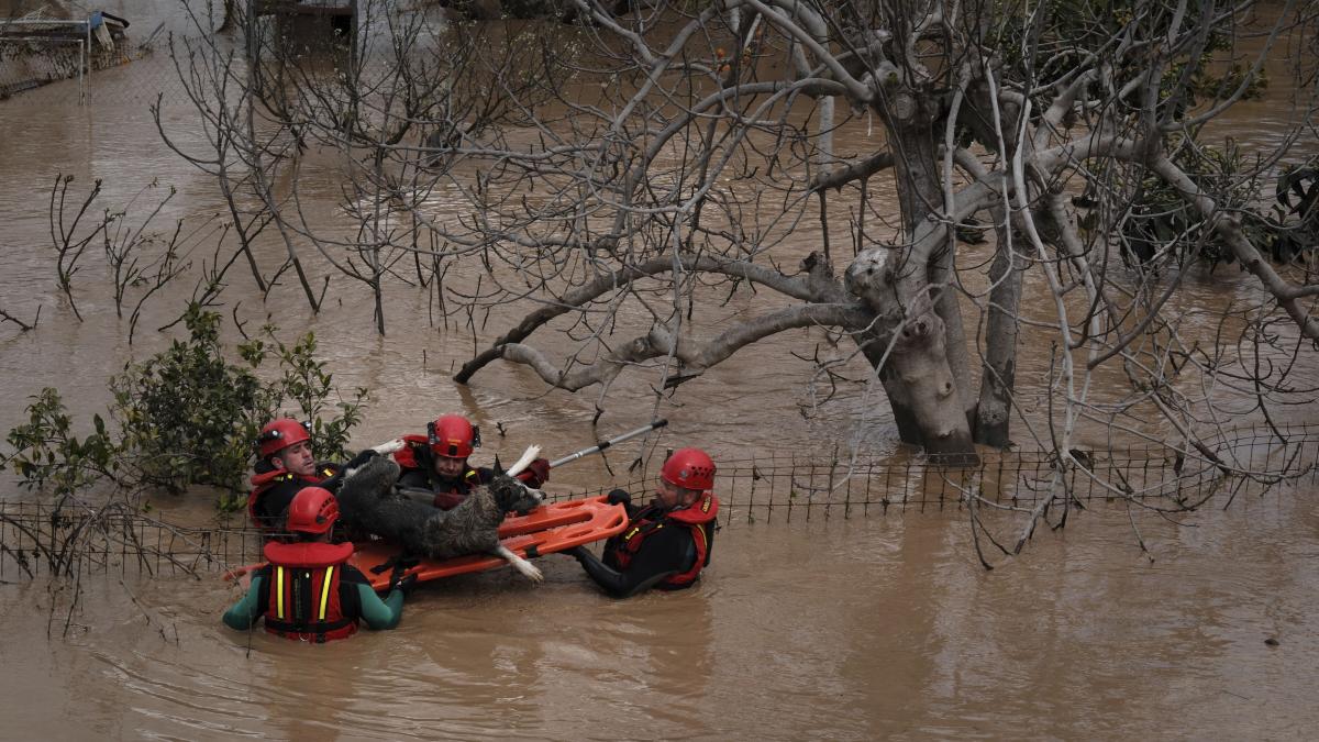 Spania e lovită, din nou, de inundații devastatoare/ O femeie a murit, alte două persoane sunt date dispărute spania e lovita din nou de inundatii devastatoare o femeie a murit alte doua persoane sunt date disparute 958688