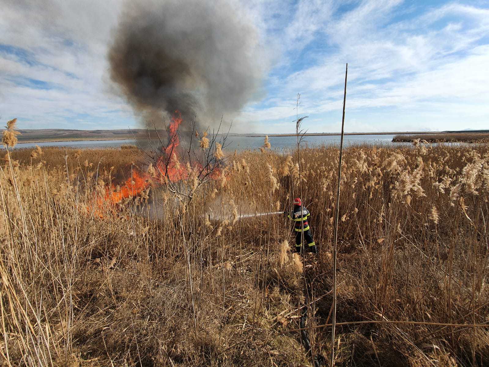 Incendiu de vegetați uscată și stuf între Venus și Saturn whatsapp image 2020 02 02 at 12 46 02 1