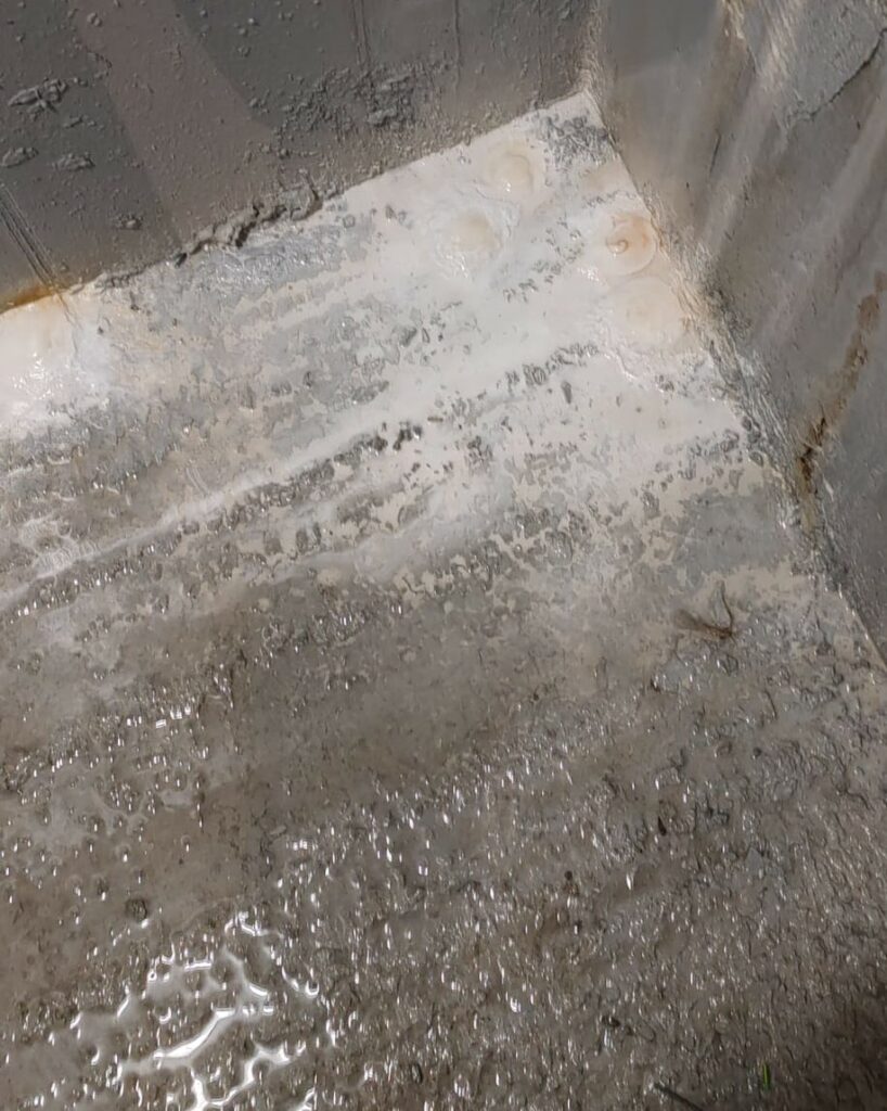 VIDEO Locatarii Maurer Residence din cartierul Tomis Plus reclamă probleme grave. Proiect premium, condiții insalubre 6 VIDEO Locatarii Maurer Residence din cartierul Tomis Plus reclamă probleme grave. Proiect premium, condiții insalubre 34907929 97d4 470f a3cd d36da02cc983