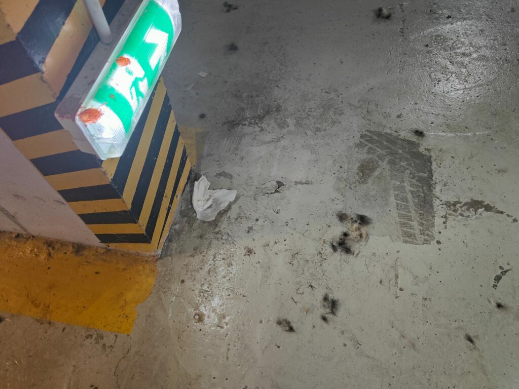 VIDEO Locatarii Maurer Residence din cartierul Tomis Plus reclamă probleme grave. Proiect premium, condiții insalubre 7 VIDEO Locatarii Maurer Residence din cartierul Tomis Plus reclamă probleme grave. Proiect premium, condiții insalubre 4c9fafd6 e501 437f a03e 31ab167853da