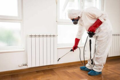 DGAS Constanța caută firmă pentru servicii de deratizare, dezinsecție și dezinfecție Firma Dezinsectie apartament Bucuresti Sector 1 bucatarie gandaci subsoluri restaurant bar cafenea terasa fast food solutii casa vila bloc