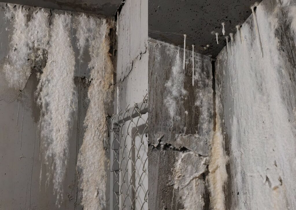 VIDEO Locatarii Maurer Residence din cartierul Tomis Plus reclamă probleme grave. Proiect premium, condiții insalubre 3 VIDEO Locatarii Maurer Residence din cartierul Tomis Plus reclamă probleme grave. Proiect premium, condiții insalubre Fotoram.io 2025 04 29T144153.322