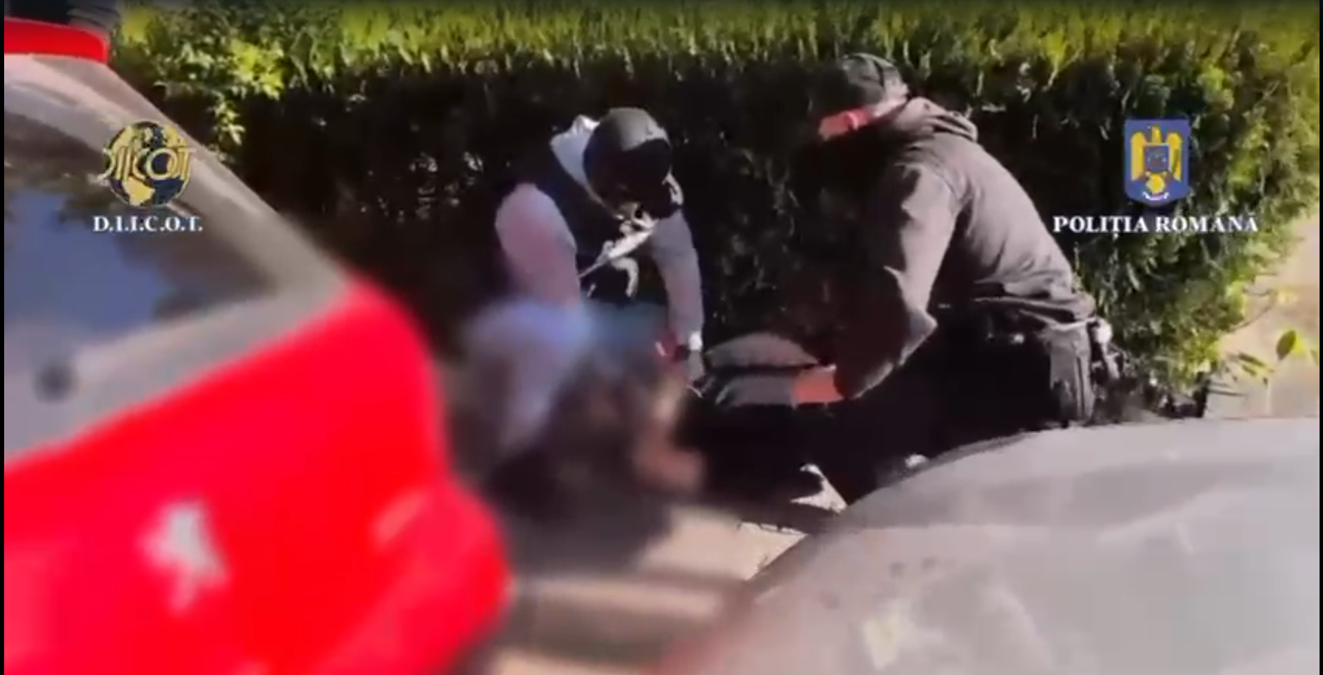 VIDEO Captură de 2,2 KG de canabis adus din Spania prin curierat: Trei persoane reținute la Constanța, în urma unei acțiuni DIICOT Screenshot 2025 04 30 183937