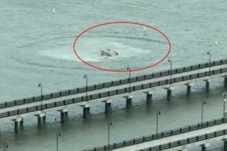 VIDEO Un elicopter s-a prăbușit la New York, în râul Hudson/ O familie de cinci persoane din Spania și pilotul au murit un elicopter s a prabusit la new york in raul hudson cel putin un om a murit 964190