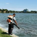 Acțiuni de delarvizare pe malurile lacurilor Siutghiol și Tăbăcărie 117 e1746616464155