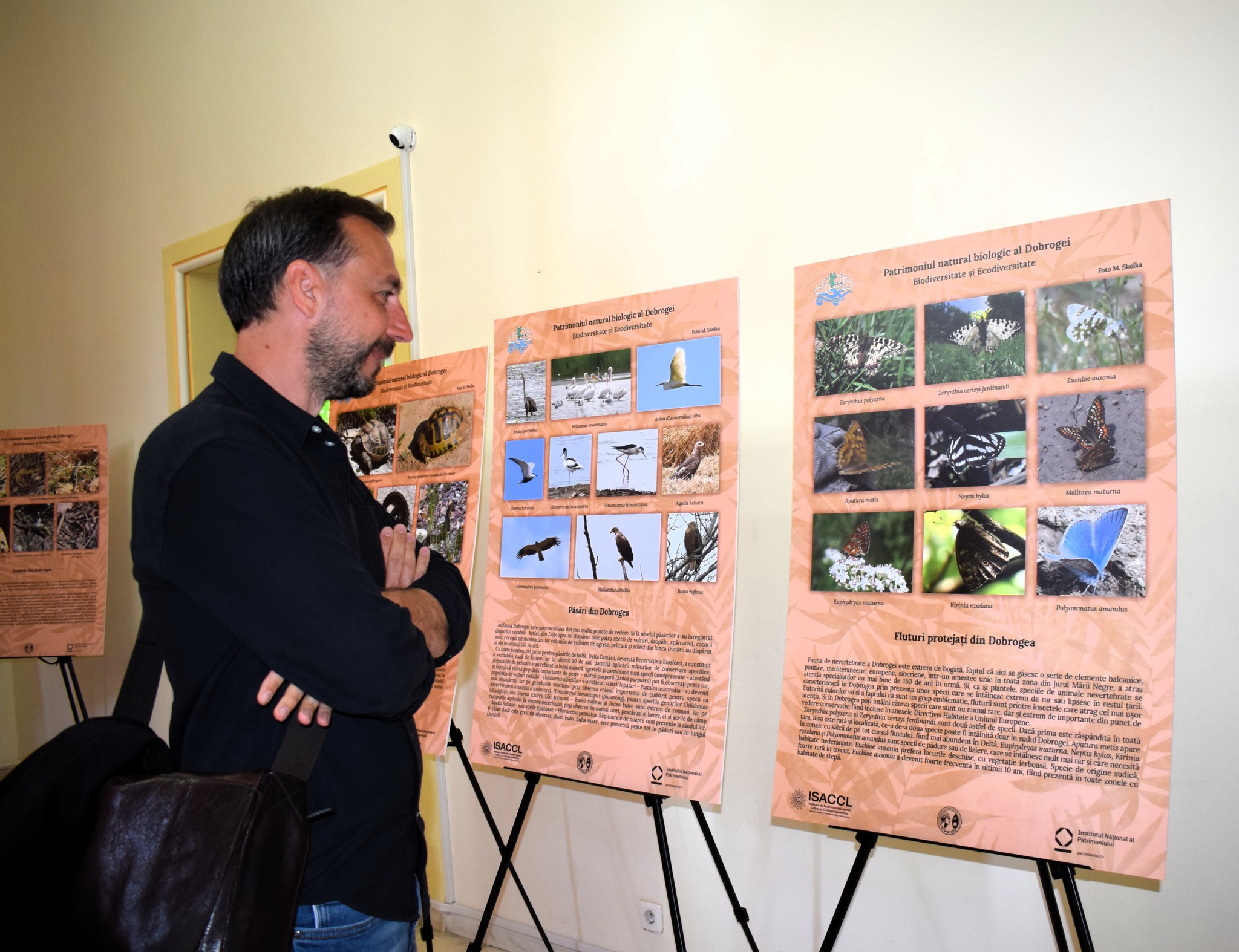 „Patrimoniul cultural și natural al Dobrogei”, în expoziție la Muzeul Geologic Național 493942761 1315926050043765 1181552819701389709 n