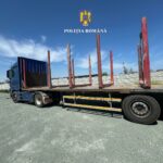 Societate comercială din Tuzla, anchetată pentru transport ilegal de lemne 6b867ed8 f7d0 48f7 9d79 d5ecf2e5ec30