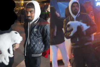 VIDEO Revoltător! Cerșetorie mascată cu un pui de CĂȚEL, în fața cluburilor din Mamaia Design fara titlu 22