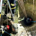 VIDEO Misiune de salvare la Cumpăna: Un câine căzut într-un canal, recuperat cu succes Fotoram.io 2025 05 20T131923.349