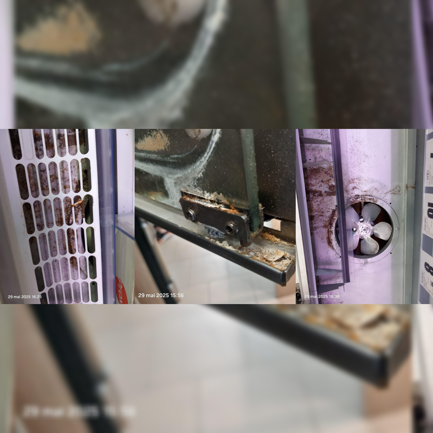 FOTO VIDEO Magazinul Profi din cartierul Tomis Plus, sancționat de OPC: carne păstrată la temperaturi neconforme și produse depreciate Image Editor 2025 05 29T215217.398