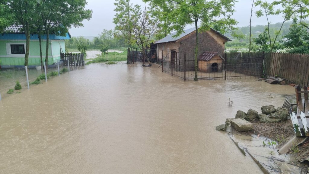 FOTO VIDEO Aproape 70 de localități din 14 județe, afectate de ploi abundente în ultimele 24 de ore 4 FOTO VIDEO Aproape 70 de localități din 14 județe, afectate de ploi abundente în ultimele 24 de ore Imagine WhatsApp 2025 05 29 la 08.49.49 514456ce