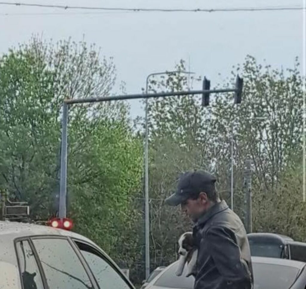 VIDEO Revoltător! Cerșetorie mascată cu un pui de CĂȚEL, în fața cluburilor din Mamaia 2 VIDEO Revoltător! Cerșetorie mascată cu un pui de CĂȚEL, în fața cluburilor din Mamaia WhatsApp Image 2025 05 02 at 16.24.46