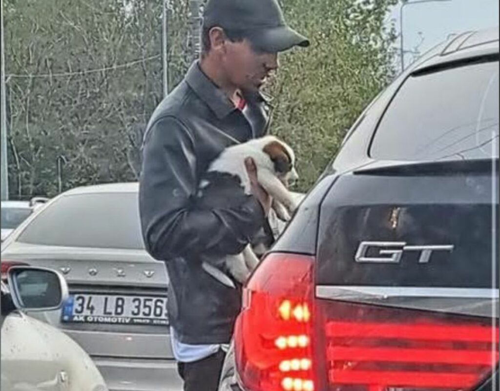 VIDEO Revoltător! Cerșetorie mascată cu un pui de CĂȚEL, în fața cluburilor din Mamaia 3 VIDEO Revoltător! Cerșetorie mascată cu un pui de CĂȚEL, în fața cluburilor din Mamaia WhatsApp Image 2025 05 02 at 16.24.48