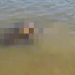 Înfiorător! Trupul neînsuflețit al unui bărbat, găsit plutind pe canal, la Agigea WhatsApp Image 2025 05 10 at 19.44.54
