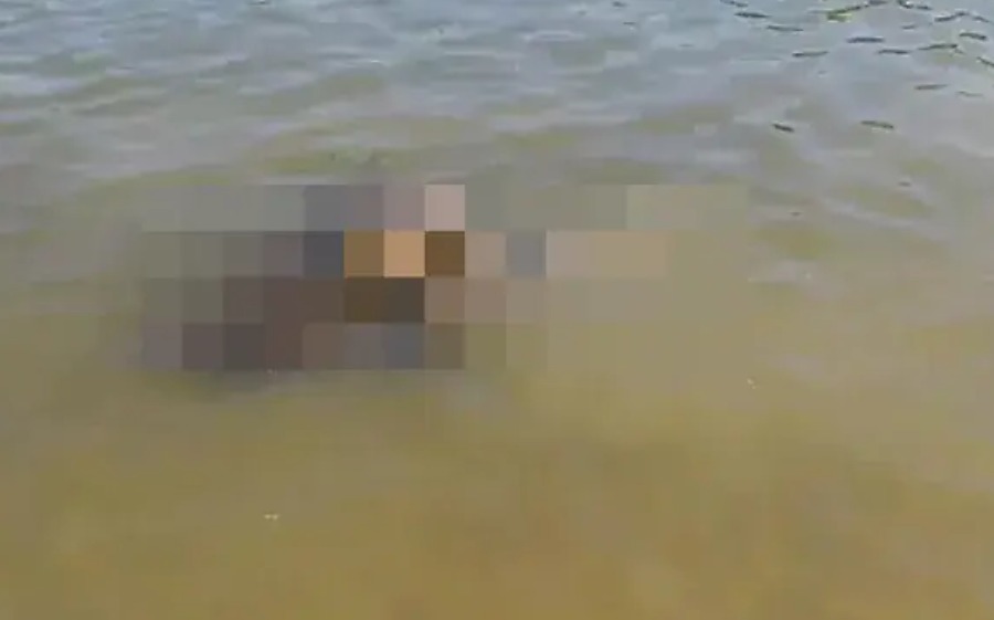 Înfiorător! Trupul neînsuflețit al unui bărbat, găsit plutind pe canal, la Agigea WhatsApp Image 2025 05 10 at 19.44.54