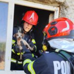 FOTO Pompierii tulceni au salvat un cățel dintr-un incendiu izbucnit la o locuință WhatsApp Image 2025 05 15 at 18.58.02