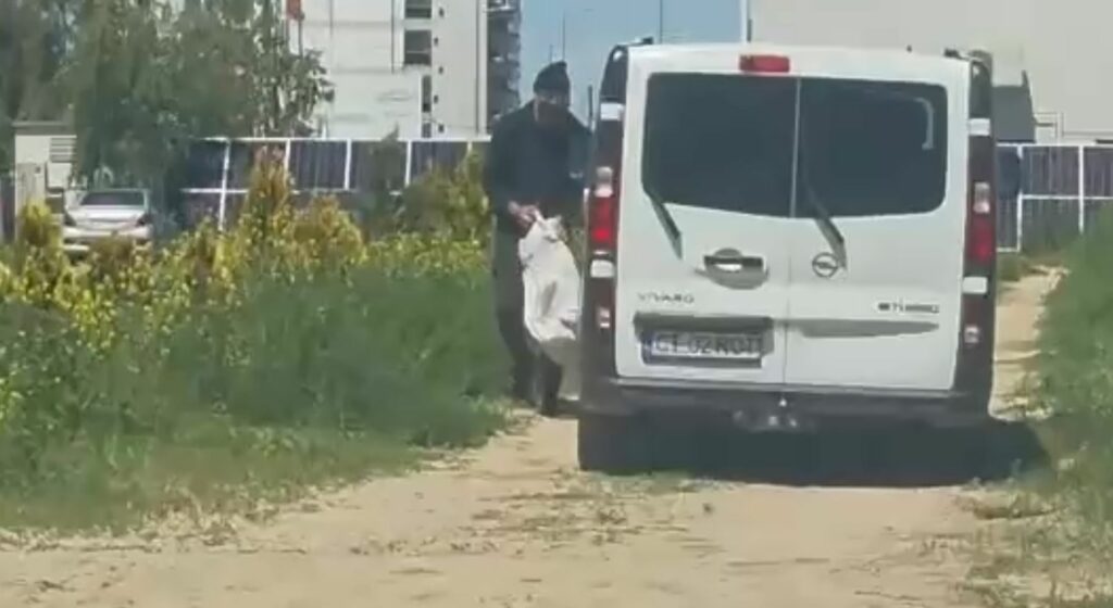 VIDEO/ CRUZIME! A abandonat un cățel ca pe un gunoi, în fața unui hotel din Mamaia Nord / Nici nu a privit în urmă WhatsApp Image 2025 05 31 at 17.02.52