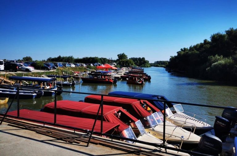 Braconier din Delta Dunării, condamnat după ce a furat două motoare de barcă barci