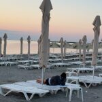 Plajele din Mamaia și Vama Veche, din nou la licitație/ Sezonul bate la ușă, dar plajele sunt goale bdb25051 d857 44fd b3bf 6017d9c859bb
