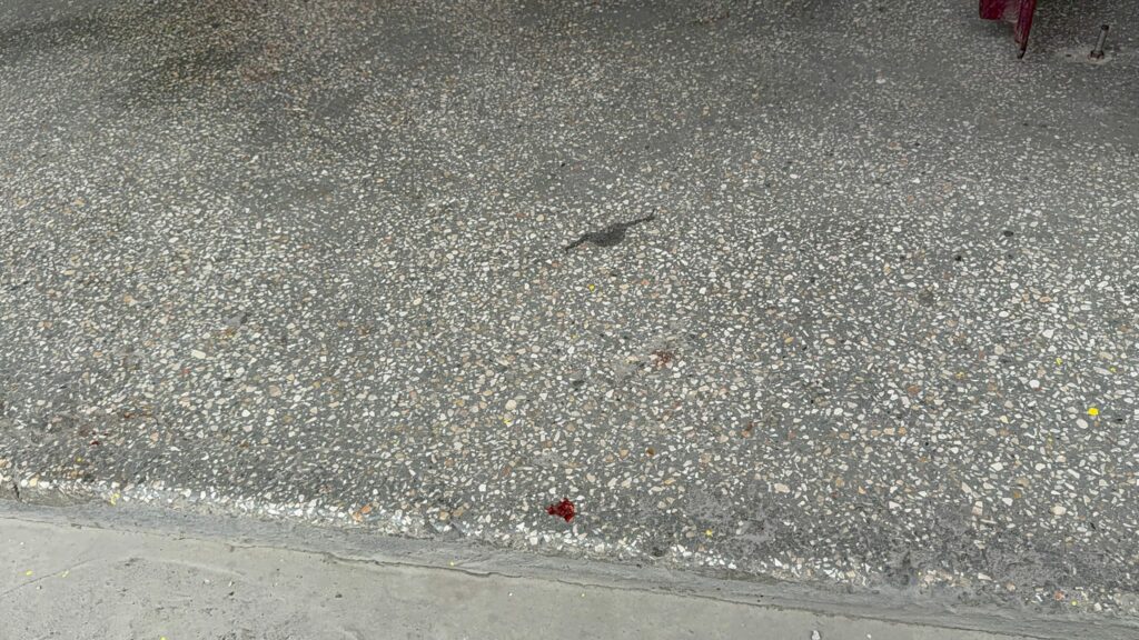 FOTO VIDEO Atac sângeros în Eforie Nord! Un bărbat și-a înjunghiat în gât concubina, după care ar fi încercat să se sinucidă 8 FOTO VIDEO Atac sângeros în Eforie Nord! Un bărbat și-a înjunghiat în gât concubina, după care ar fi încercat să se sinucidă c08ca098 471d 43ae 9e08 50b0f648b22f